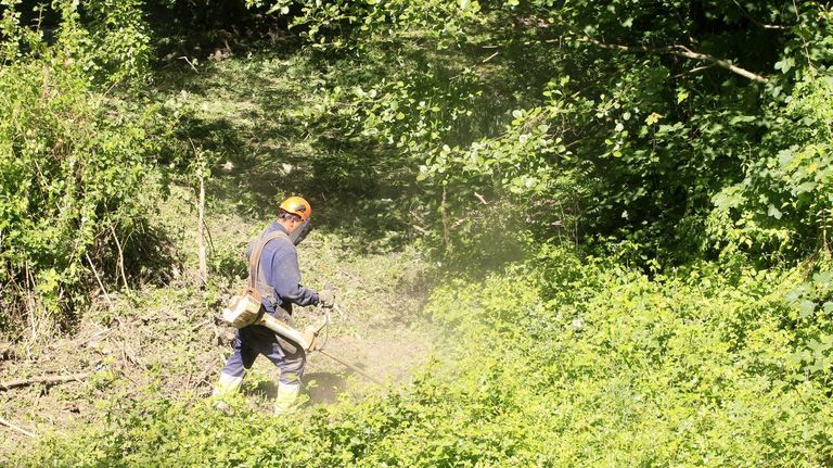 Estas son las 276 parroquias donde los dueños de fincas pueden contratar los desbroces a 420 euros hectárea
