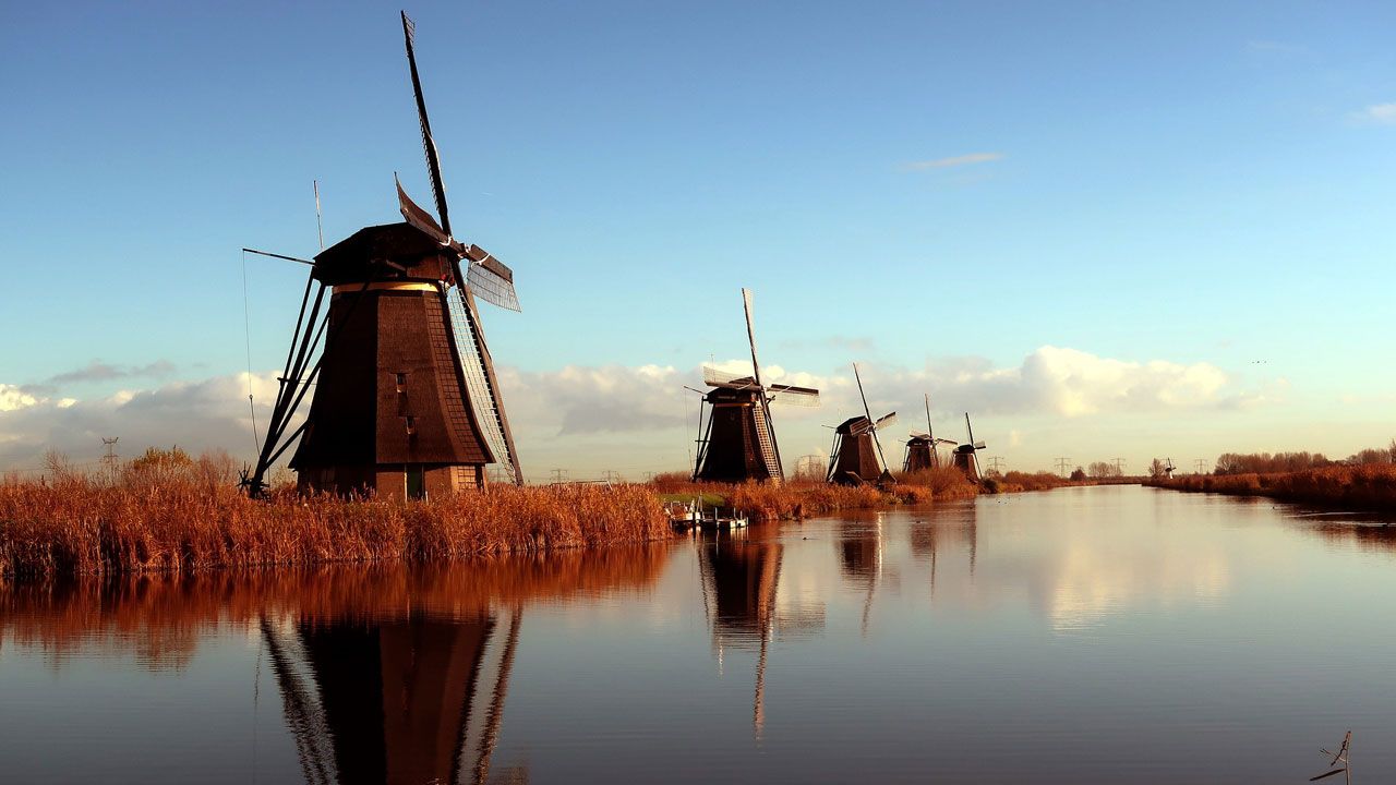 Visita los molinos de Holanda