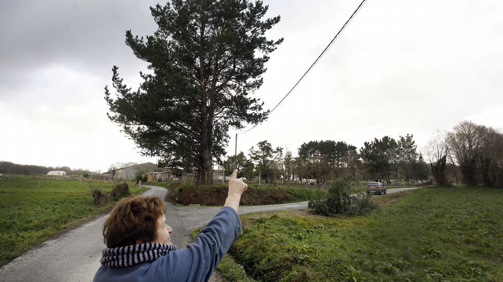 �Desde que temos luz na casa, nunca pasara tal�