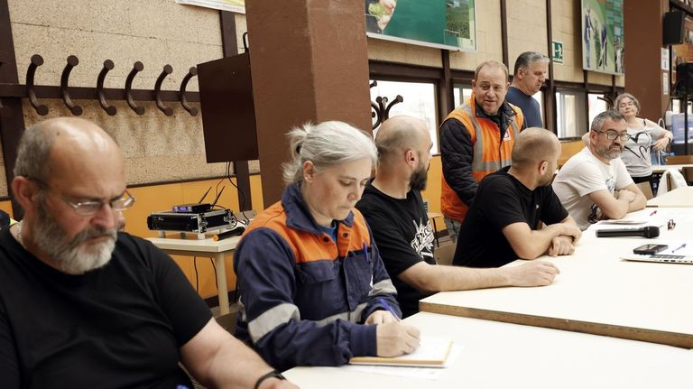 Zan: «La fábrica no estará a plena capacidad hasta que Alcoa haga el horno de cocción»