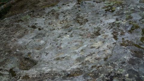 Campa do Barreiro (Cervantes). Petroglifos. El 25 de agosto de 2013, el Colectivo Patrimonio dos Ancares dio a conocer los primeros petroglifos situados en Os Ancares. 28 coviñas en una roca inclinada cara la puesta del sol.