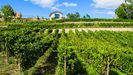 Bodega en venta en Salvaterra
