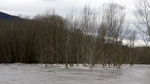 Inundaciones en la provincia de Ourense.La crecida del Sil ha inundado un centenar de casas en O Barco de Valdeorras, adems de fincas, huertas y el Malecn