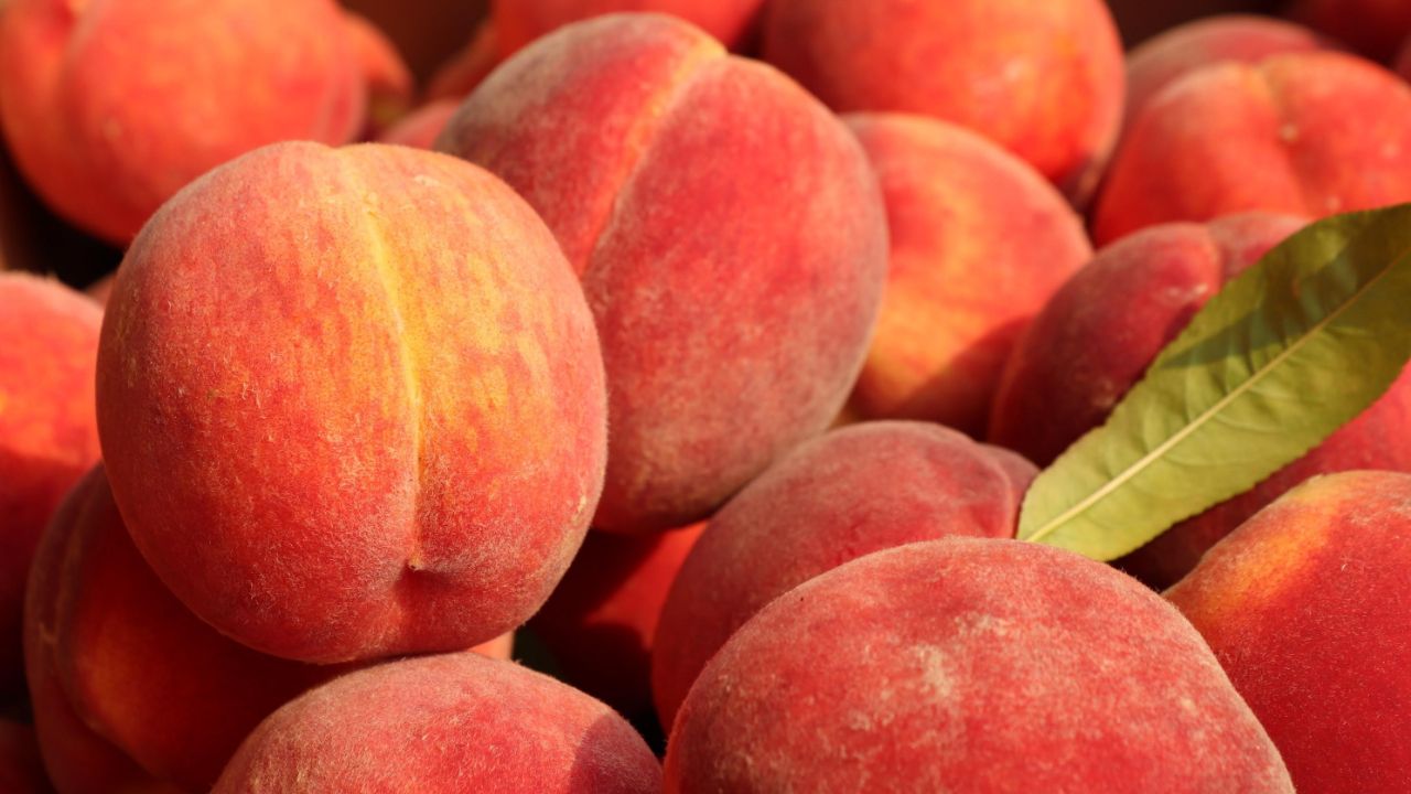 Ram�n Garc�a Ca�al