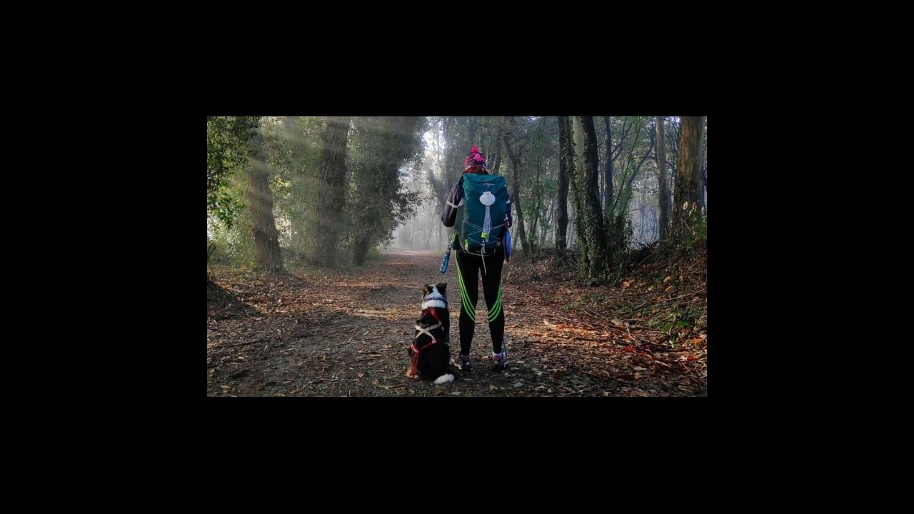 El 30 de agosto se celebr� en Ferrol la botadura del segundo log�stico para Australia