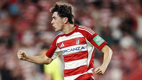 Pablo S�enz celebra un gol con el Granada