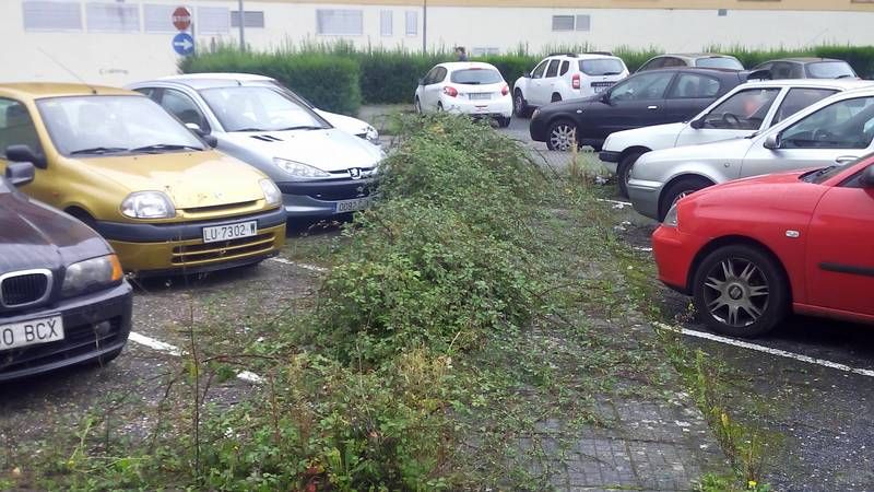 Colisi�n frontal en O Corgo.Armando Soneira.