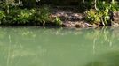 El agua presentaba este color en algún tramo hace unos días