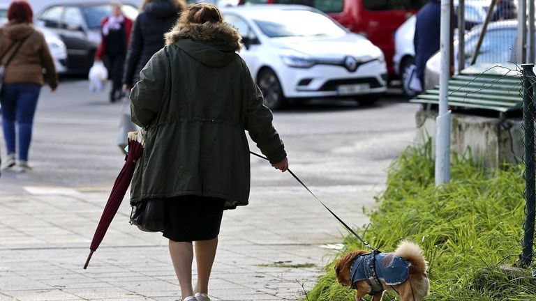 Ponteareas obligará a recoger las heces de los perros con una nueva ordenanza