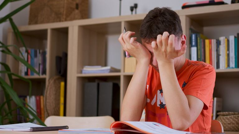 Entre emociones y decisiones: ¿Estoy nervioso o tengo ansiedad?