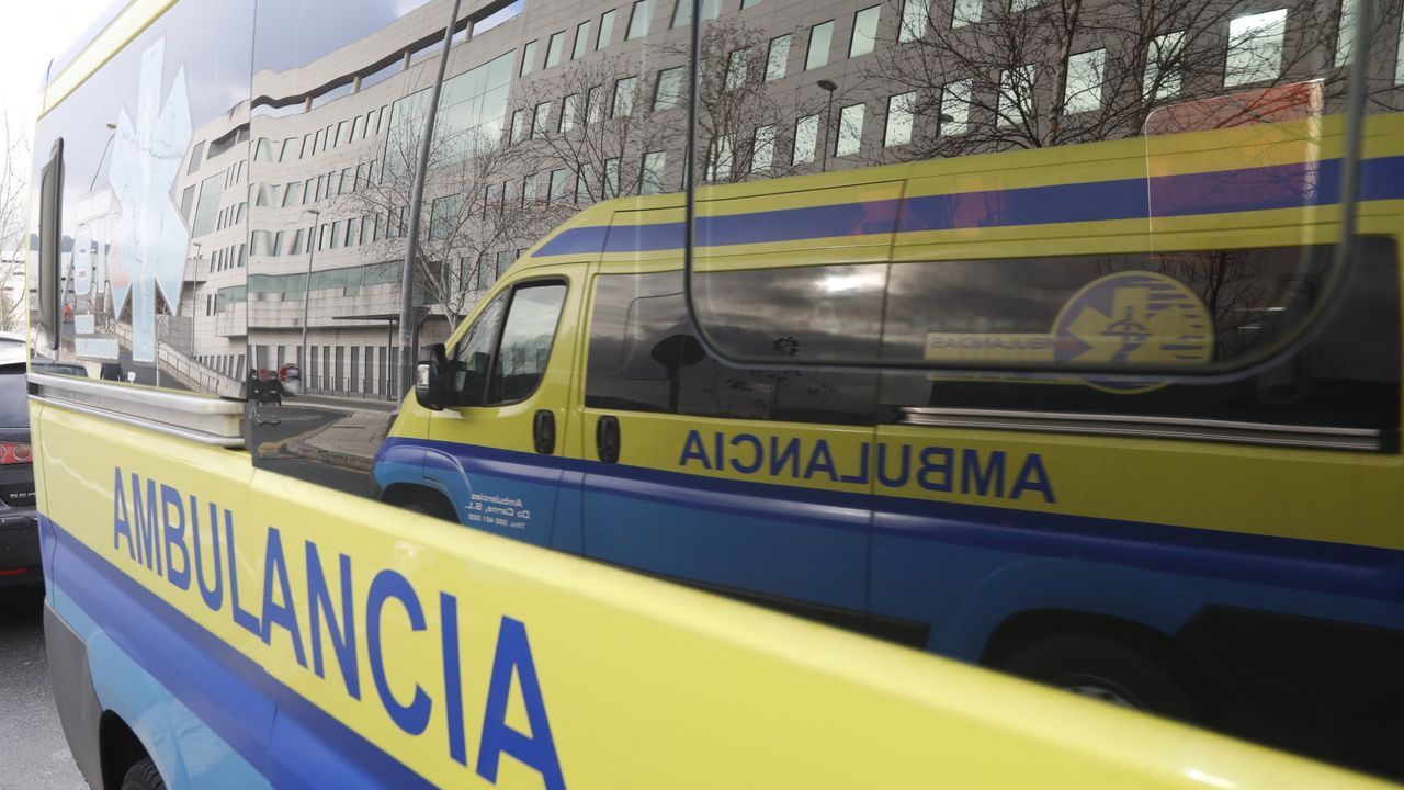 Yo s� te pido... La Luna.En la imagen, pizzas o milanesas de berenjena, y wraps de ma�z. 