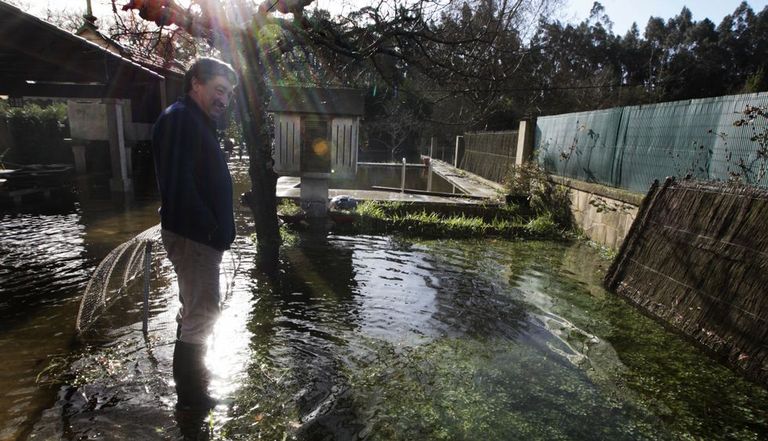 El agua cubrió por completo el jardín y la piscina de esta vivienda de Pontearnelas.