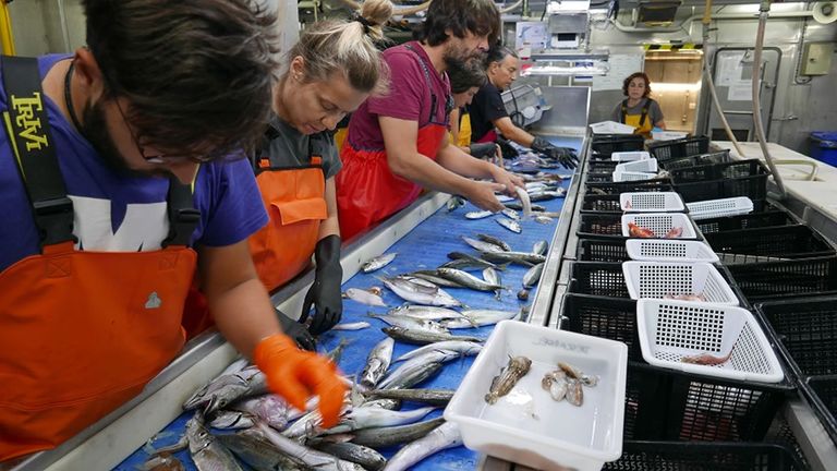 Investigadores del Instituto Español de Oceanografía (IEO) de Vigo, a bordo del buque Miguel de Oliver, en la campaña Descarsel 2019, sobre la selectividad del arrastre