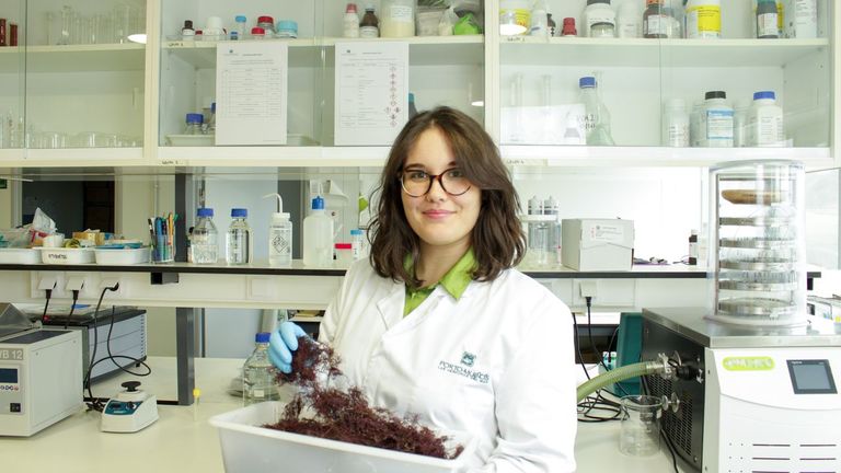 Buscan modos verdes de extraer compuestos bioactivos de las algas gallegas para uso alimentario y cosmético