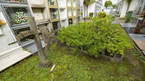 En esta tumba de Sofán ahora hay plantas que cubren un aviso