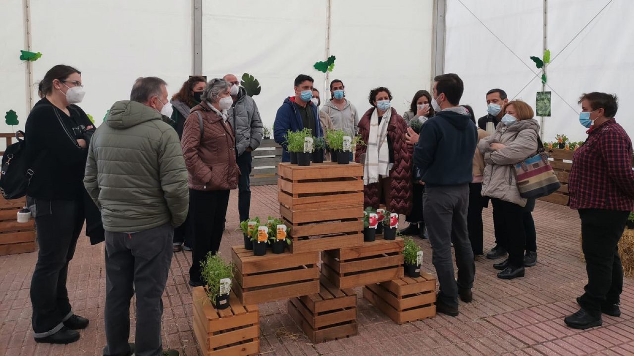 Barbanza vuelve a disfrutar del carnaval.Caietano de Laxe