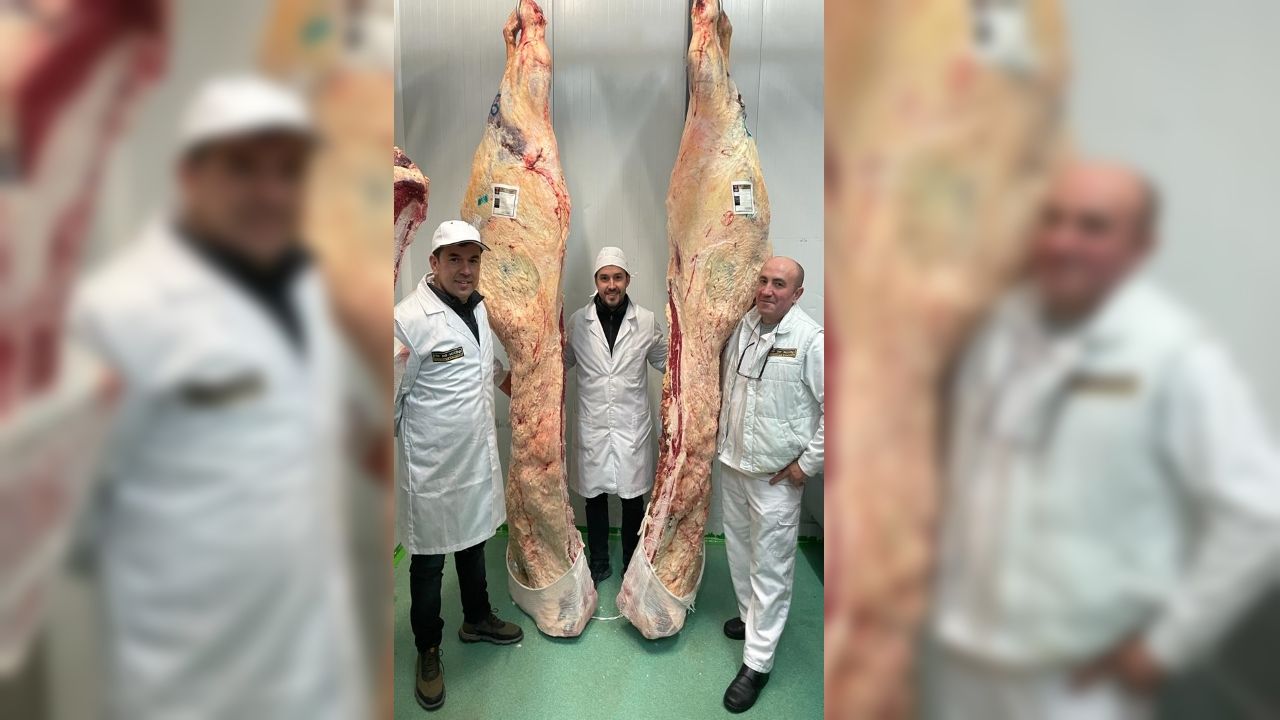 Parques infantiles que no son de cat�logo.Alfonso Rueda (segundo por la derecha) en uno de los barcos que navegan por el r�o, a la altura de Salvaterra de Mi�o.