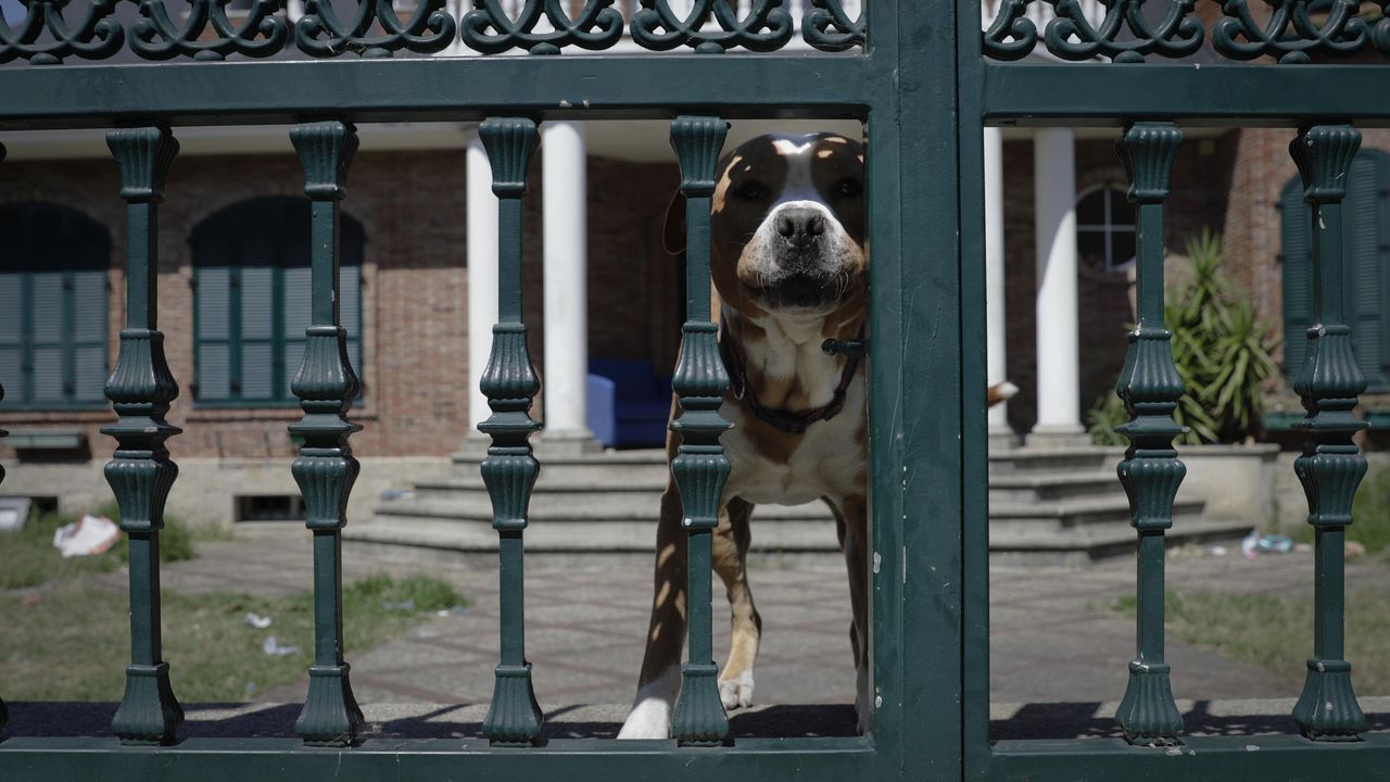 V�deo de las elecciones en Burela, con colas para votar.Una pintada, en el mismo punto de la playa de Coira en el que la pandilla de amigos de los ocupantes del kayak se juntaban siempre, recuerda a Miguel Quan y a Javier Hurtado
