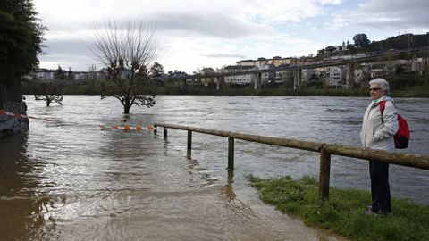 Inundaciones en la provincia de Ourense.En Ourense la crecida del Miño inundó A Chavasqueira