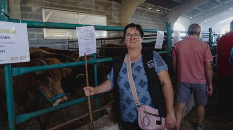 Exposición y concurso de ganado bovino en Castro Caldelas