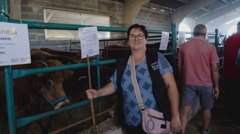 Exposicin y concurso de ganado bovino en Castro Caldelas