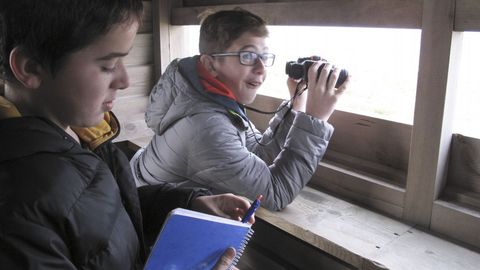 En moitos dos máis importantes humidais de Galicia construíronse sinxelos miradoiros ornitolóxicos desde os que é doado observar aves acuáticas