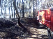 Zona forestal quemada en Guizan, en Mos