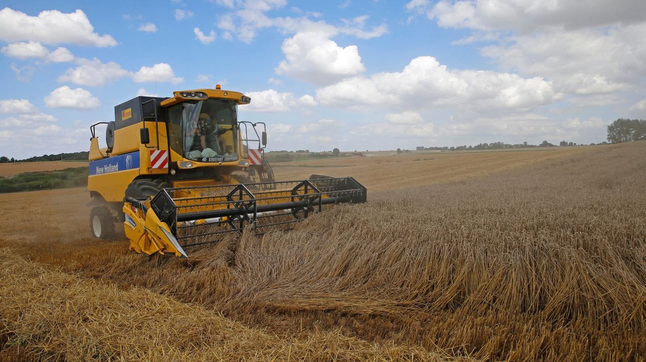 Un agricultor recoge la cosecha de trigo en Honnecourt-sur-Escaut