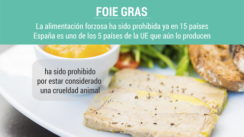 Foie gras