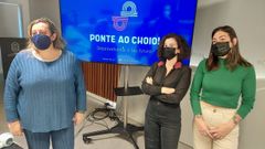 El proyecto Ponte ao Choio se present este jueves en el  Concello de Pontevedra