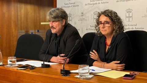 Convocatoria por Asturies y FSA-PSOE registran una ley para blindar la Universidad de Oviedo frente a �la amenaza� de la privada