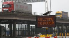 Tráfico de mercancías procedentes de la UE en Dover