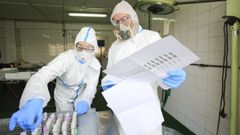 Profesionales del Lapasega con unas muestras PCR llegadas de Ferrol