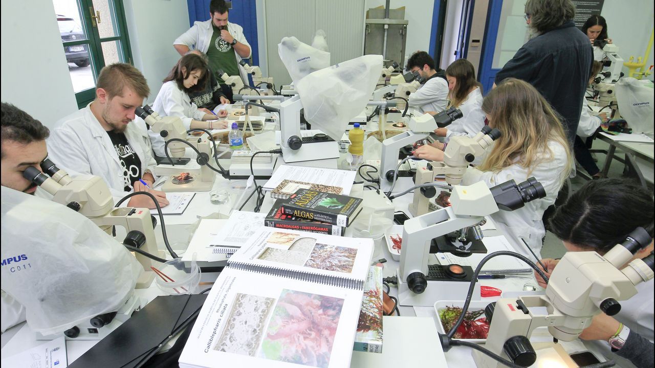 Los alumnos salen por la maana al mar a recoger muestras de fauna y flora que luego analizan en el laboratorio