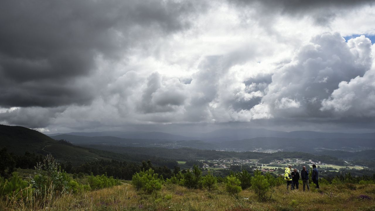 La rotacin de cultivos ayuda a regenerar los suelos