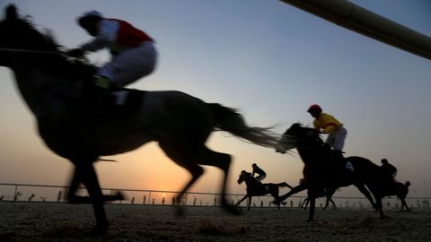 Carrera de caballos en Irak