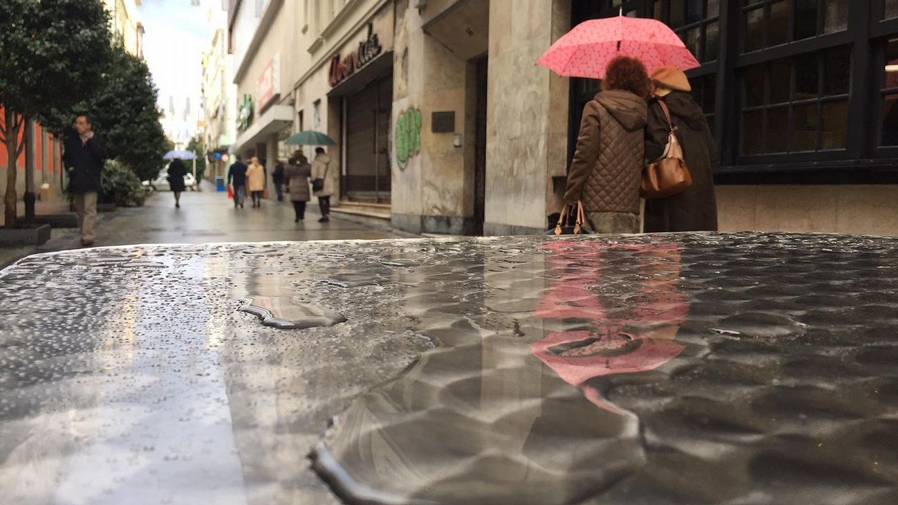 O Av, un eucalipto que s pega sello.Ruta didctica ambiental por el Macizo Central de la provincia de Ourense