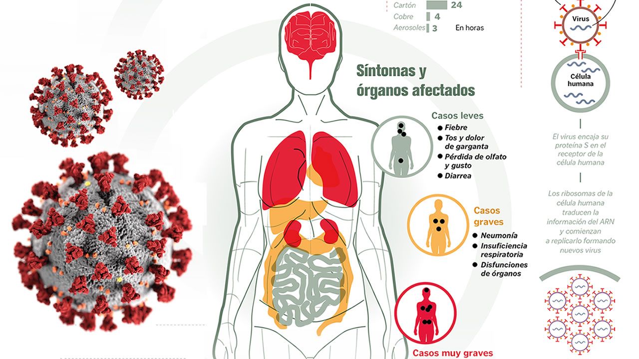 �Si uno tiene 30 Grand Slam, pero ning�n amigo, va a tener un futuro infeliz�.Un beb� recien nacido en Vietnam, con pantalla protectora antes de salir de casa para la vacunaci�n