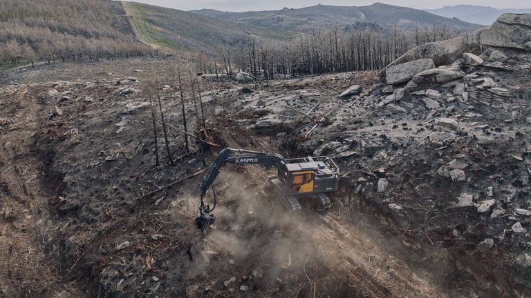 Las heridas del fuego en el paisaje