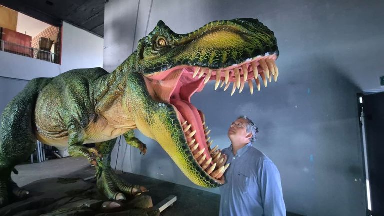 Un Tyrannosaurus Rex de 600 kilos aterriza en Oia para el circo
