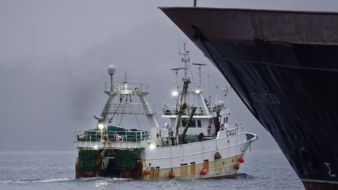 El vigués Novo Morriña, que faena en Gran Sol, es uno de los 103 arrastreros de fondo con base en Galicia