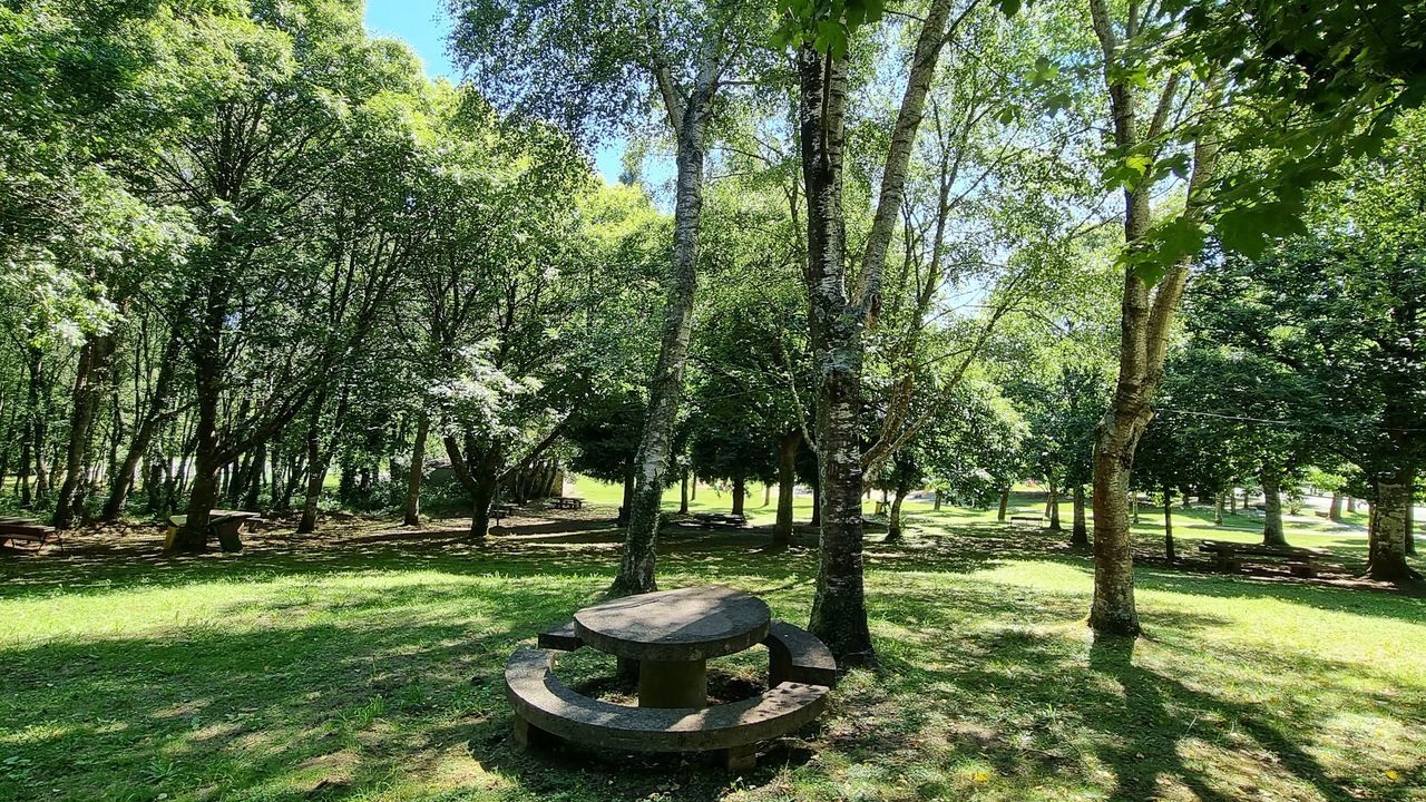 Sitios para visitar en A Maria, adems de As Catedrais y O Fucio do Porco.Vista de la zona arbolada del rea recreativa, usada para comidas y para meriendas