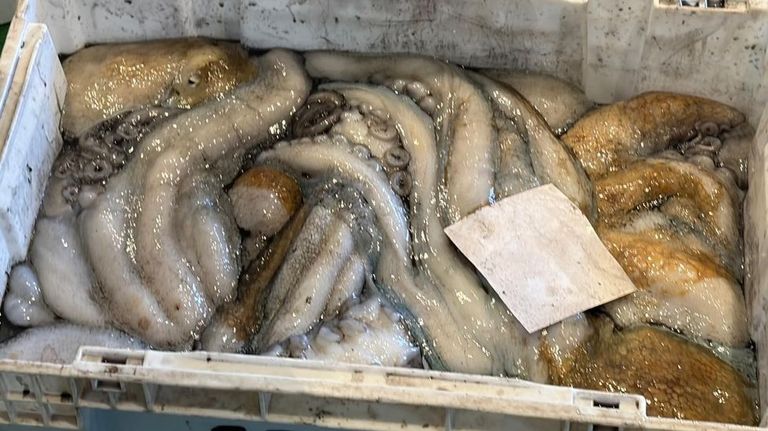 El pulpo gallego fresco se acabará del 1 de mayo al 1 de julio