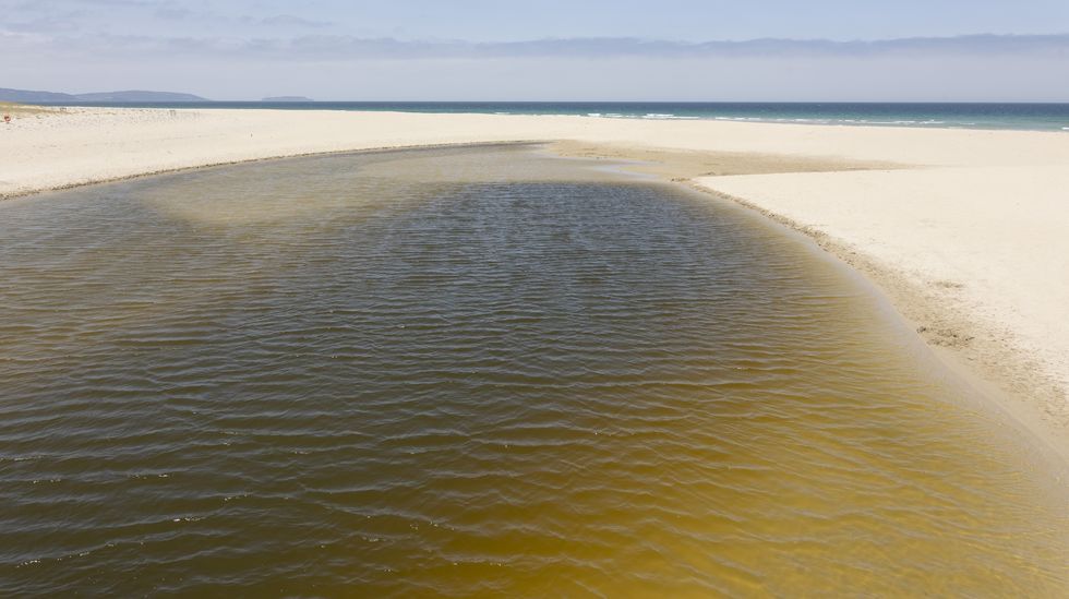 La experiencia de los turistas en la pasarela vicedense.Imagen del agua tomada a comienzos de esta misma semana 