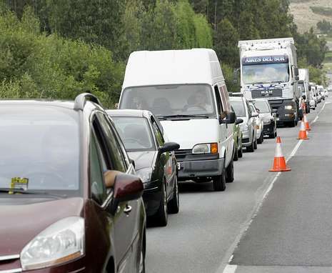 La vaca PACa interact�a con los m�s peque�os