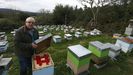 El apicultor mariñano Jesús López Pernas perdio parte de sus colmenas en Ourol