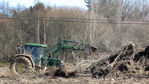 Trabajos de acondicionamiento realizados en el 2018 en una parcela abandonada de la parroquia de Ribas Pequenas, en Bóveda, para dedicarla a la plantación de cultivos forrajeros