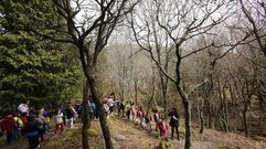 Alumnos del colegio de infantil y primaria A Cruz, de Nigrn, en una salida al monte Aloia, en Tui, para realizar actividades relacionadas con Voz Natura