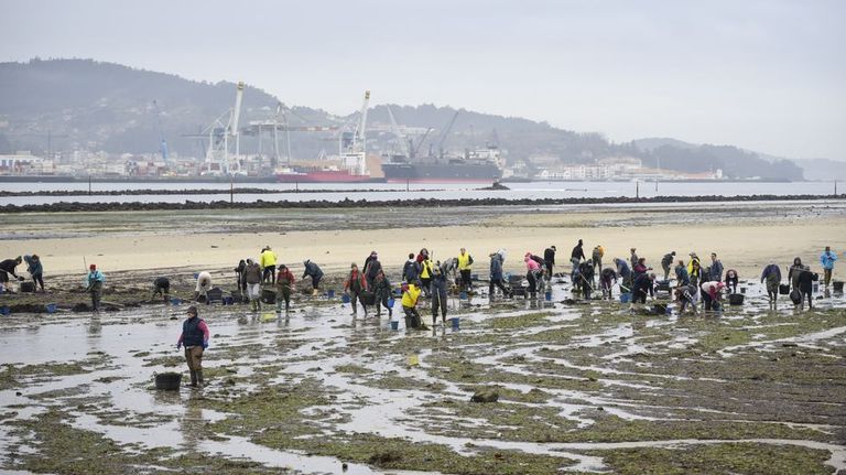Mar encarga la restauración de bancos marisqueros a la empresa pública Seaga