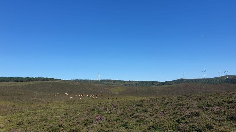 Investigan a una lucense de 66 años que solicitó y cobró las subvenciones de la PAC sin reunir las condiciones